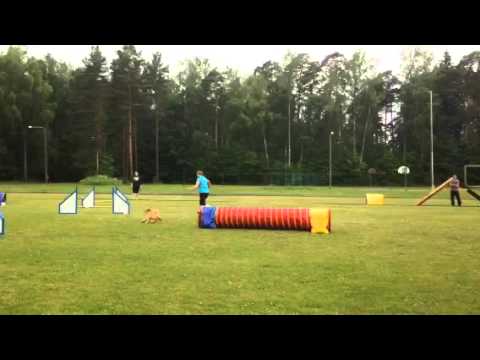 Pipa 5.07.2015 4.koht 10 kp kiirus 3,75 Uulu Ken Fogelberg