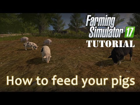 Farming Simulator 17 - How to feed your pigs - A Tutorial
