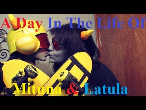 Ein Tag im Leben von Mitula