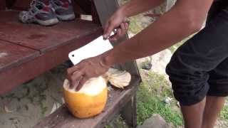 preview picture of video 'Lühike õpetus, kuidas kookospähklit süüa...'