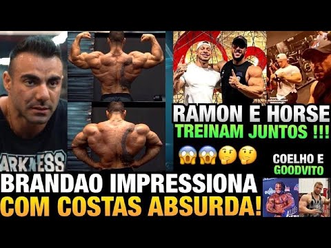 BRANDÃO MOSTRA DORSAL ABSURDA - RAMON E HORSE FAZEM SUPER TREINO DE COSTAS + COELHO E GOODVITO