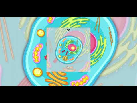 LA CÉLULA Endoboy [Audio Oficial]