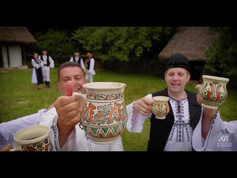 Robert Târnăveanu  - Viata-i floare trecatoare