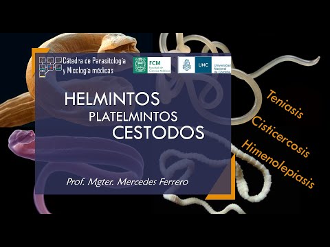 Helmintos-Platelmintos-CESTODES