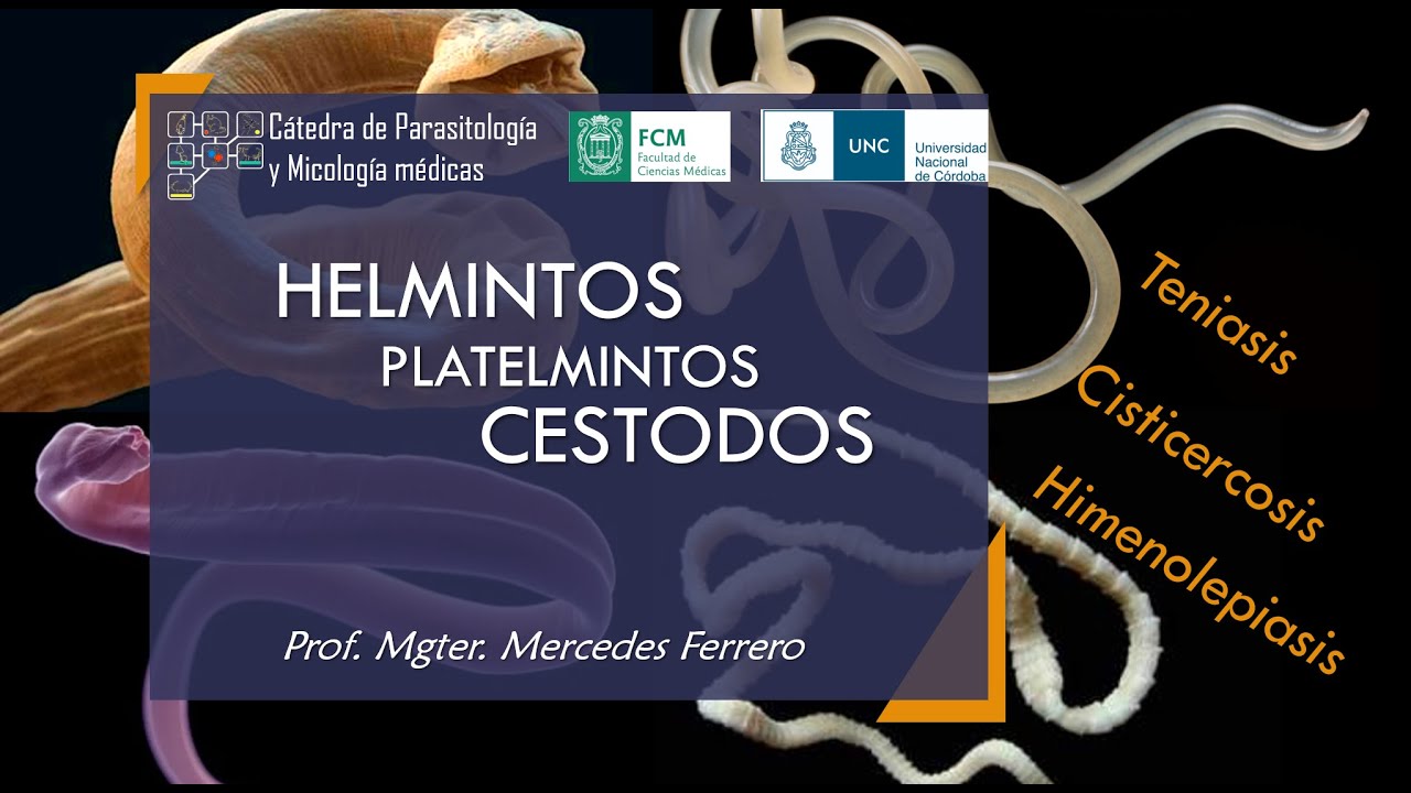 Helmintos-Platelmintos-CESTODES