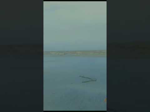 Bhuigaon beach #shorts