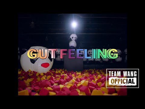 PANTHEPACK - Gut Feeling (Official Music Video)