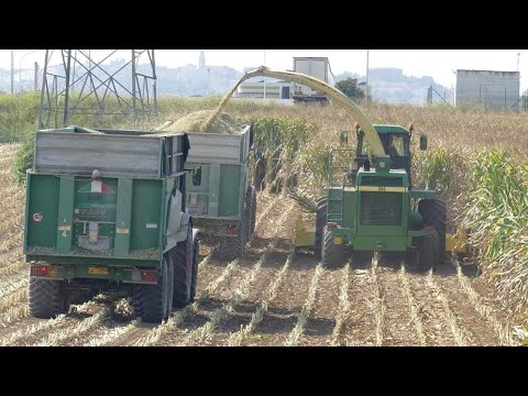 MAIS SILAGE 2K19 🌽 | JOHN DEERE 6850 + KEMPER 445 | NH TM165 | DEUTZ-FAHR M620 | CLAAS ARION 630