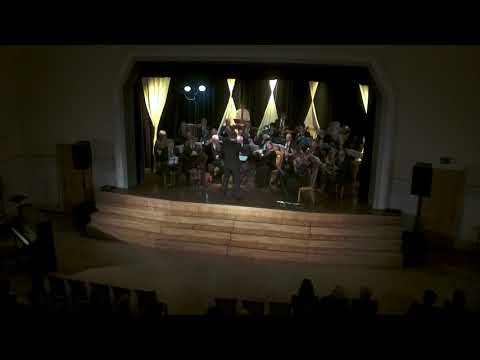 ORĶESTRIS ZELMERI PRO - LIVE  OZOLNIEKU TAUTRAS NAMS 10.03.2018.