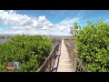 Cozumel por Juan Perro
