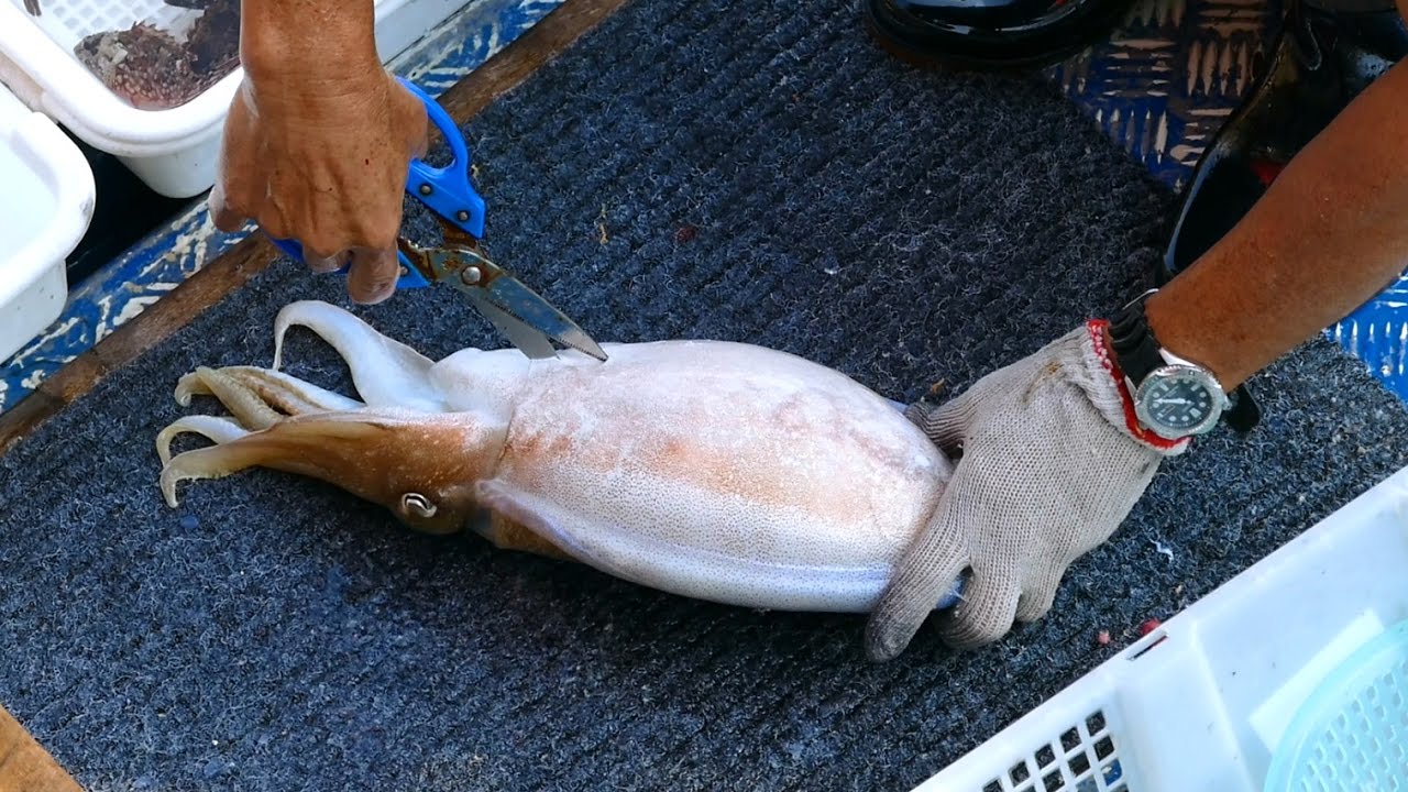 Cutting live Cuttlefish at Sai Kung seafood market - Hong Kong