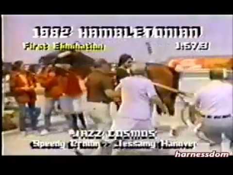 1982 Meadowlands JAZZ COSMOS Hambletonian 1st Elim  Mickey McNichol