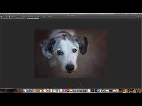 Quicktipp No. 25: Farbräume und Farbprofile in Photoshop zuweisen