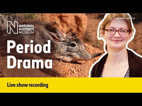 Do Animals Get Periods? | Live Talk with NHM Scientist