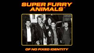 Super Furry Animals - Of No Fixed Identity