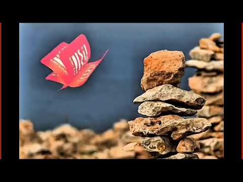 LE PANARE 2025 – Spongano | Corteo delle Panare & Concerto CGS LIVE