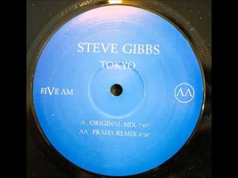 Steve Gibbs - Tokyo (Praha Remix)