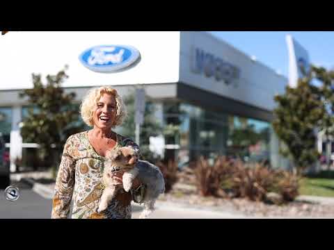 Trish Keefer Marketing & Customer Relations Director - Mossy Ford ...
