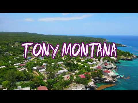 BizzyDaBachelor - Tony Montana (Official Music Video)