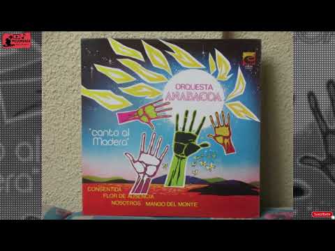 NOSOTROS - ORQUESTA ANABACOA (AUDIOVINYL) *** CANTO AL MADERA 1980