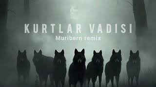 Download lagu Kurtlar Vadisi Pusu | Muribern Remix mp3
