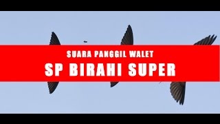 Download lagu SUARA WALET SUPER | SUARA PANGGIL BIRAHI SUPER - FULL HQ AUDIO mp3