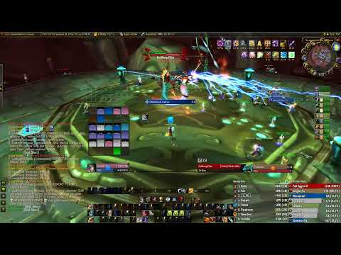 WOW Classic NewBee Vashj- Prot Paladin POV