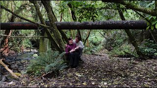 Dance of the Woods Music Video