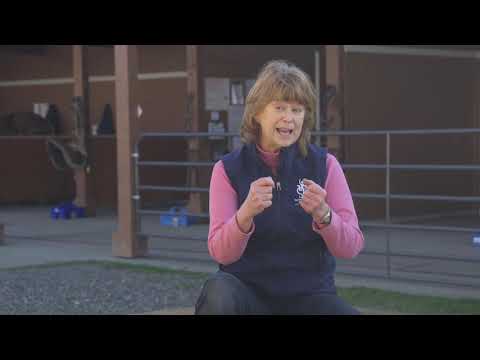 Little Bit Therapeutic Riding Center - Customer Success Story (Paula J. Del Giudice - Executive Director)