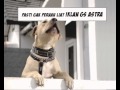 Aki GS Anjing Tetangga 30s