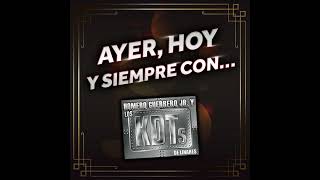 Hijos De La Gata Blanca