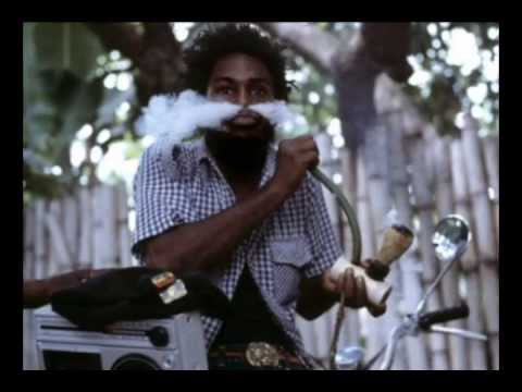 Junior Culture - Sip Of The Sensi 28 Engine