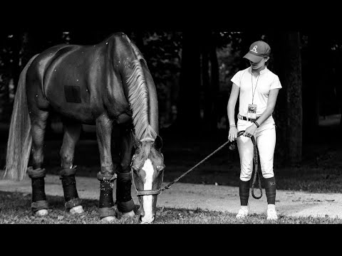 CSI** GIJÓN HORSE JUMPING 2021 - video summary by  @equus_media