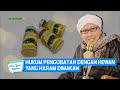 Hukum Pengobatan Dengan Hewan Yang Haram Dimakan Buya Yahya Menjawab