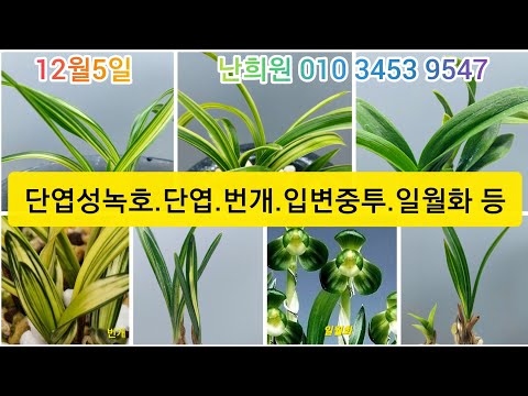 유튜브 썸네일