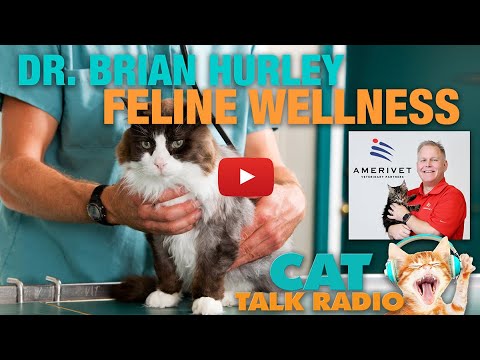 Cat Talk Radio - Dr. Brian Hurley on Cat Wellness