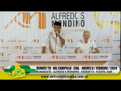 REMATE por TV de ALFREDO S MONDINO en DEL CAMPILLO -CBA.-  FAENAR TV - JUE. 8 / FEB. / 2024 -