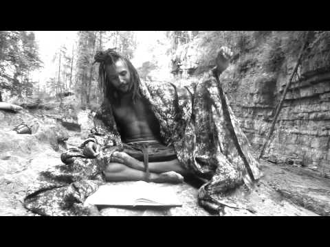 "Synergetik"- Shoutout Dunkler Führer