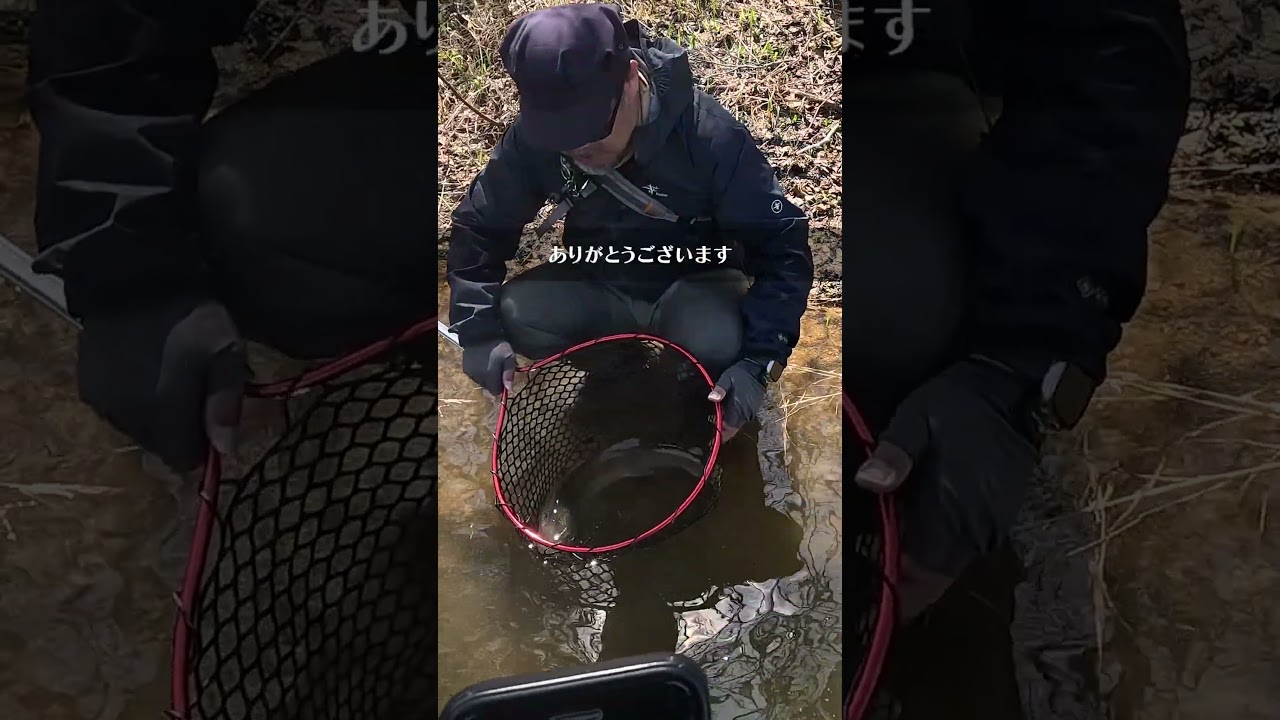 諦めかけた帰り際にビッグサイズが足元で食いつく #shorts