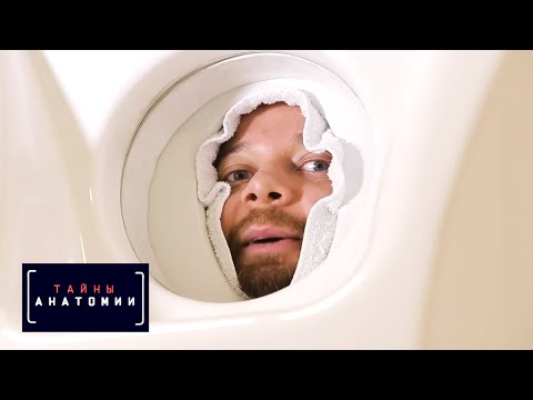 Регенерация | Тайны анатомии