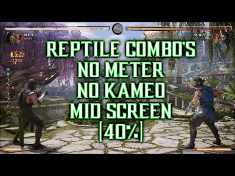 MK1 Reptile Combos (40%) No Meter No Kameo Mid Screen - Mortal Kombat 1 "Reptile" Gameplay