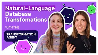 The Transformation Agent: Natural Language Database Transformations