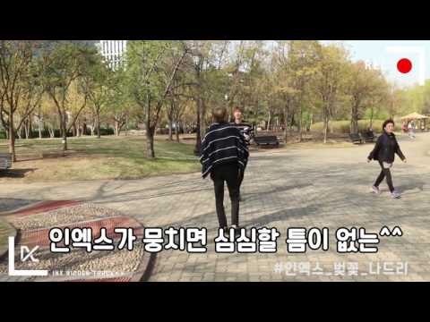[INX HIDDEN TRACK] 07. INX(인엑스) 여의도 벚꽃 나드리