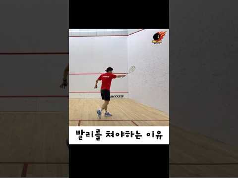 [스쿼시] 발리를 쳐야하는 이유. #스쿼시 #스쿼시포스트 #shorts