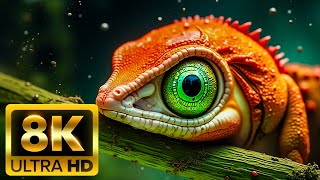 🌍 EARTH’S WILDLIFE 8K ULTRA HD – Calm Nature & Wildlife Collection