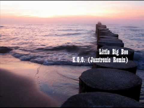 Little Big Bee - K.G.O. (Jazztronic Remix)