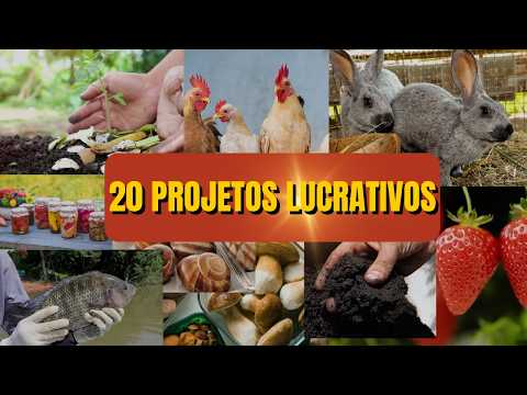 20 PROJETOS LUCRATIVOS NO CAMPO | Comece Pequeno e Transforme em Renda Extra!