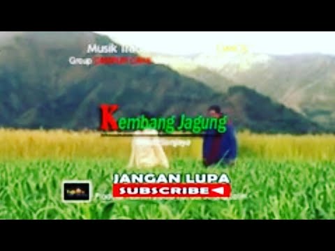 KEMBANG JAGUNG cilokak lenek sasak terbaru GAMBUS SUNJAYA (official music dan video)