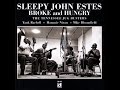 Sleepy John Estes, Beale Street sugar