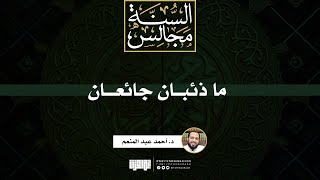 صورة ما ذئبان جائعان | خطبة | د. أحمد عبد المنعم